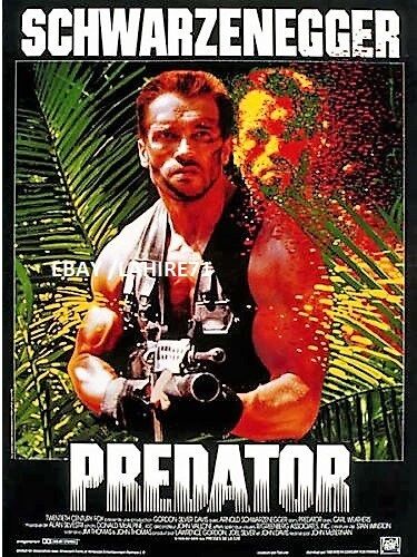 Predator
