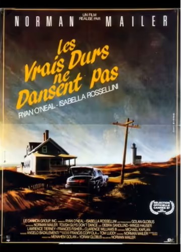 Les vrais durs ne dansent pas